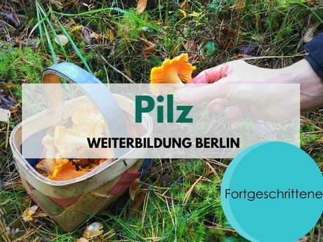 Pilz Weiterbildung für Fortgeschrittene