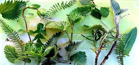 e_3053fd4e162b6124c73b7d3be55a9f77_img-hopop