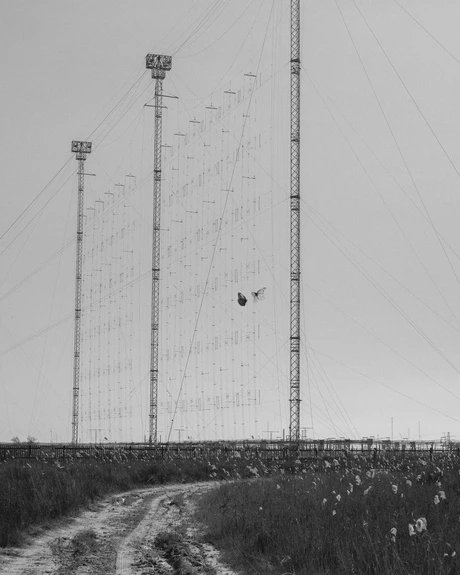 Butterflies (Haarp), 2020