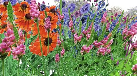 Digitales Rendering von Pollinator Pathmaker LAS Edition, 2023