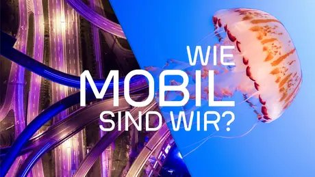 WIE MOBIL SIND WIR?