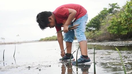 Filmstills "In eigener Regie"