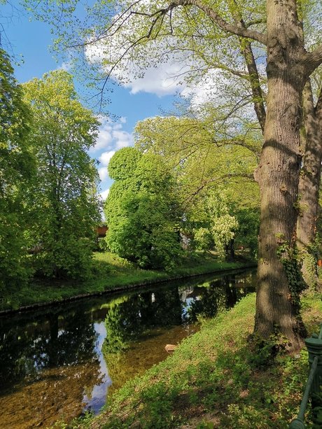 Idylle am Victoriaufer