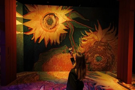 Vincent - Zwischen Wahn und Wunder