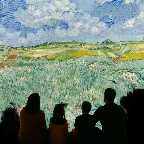 e_46022d909774a703e7156776277763a2_img-hopop