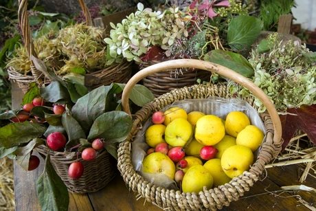 Traditionsfest mit Herbstblütenpracht, Live-Musik und Kinderprogramm