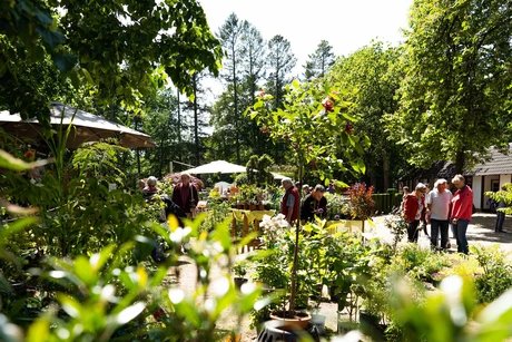 Gartenträume auf der Rennbahn Hoppegarten
