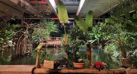 e_4f54ea4c44dc113fcc1a68989d6b0e52_img-hopop