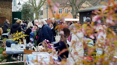 e_5001c8df08e7fed17f437b0aa6d04c45_img-hopop