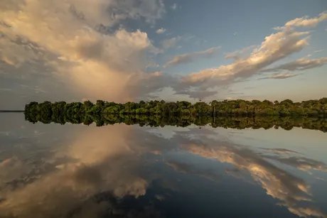 e_510ec218251541a4d7bdcd136b5a9514_img-hopop