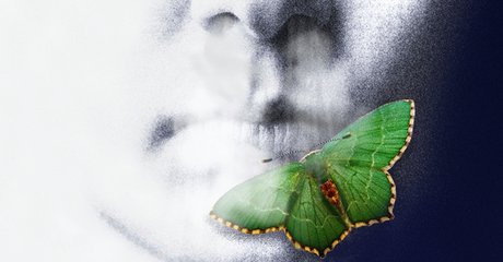 Das Schnauben der Hammel