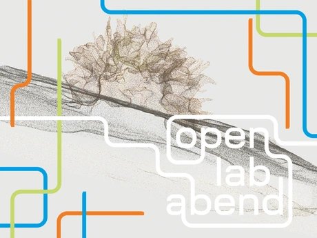 OPEN LAB ABEND