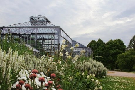 Schaugewächshäuser im Botanischen Volkspark Blankenfelde