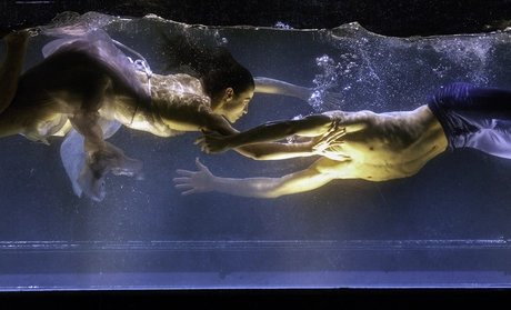 Dido & Aeneas von Sasha Waltz