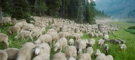 e_5dbf451ce0e85c7e12d3dff2b899c5de_img-hopop