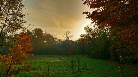 e_63d03f90081ee6a41b9cd2afa1e9fc9c_img-hopop