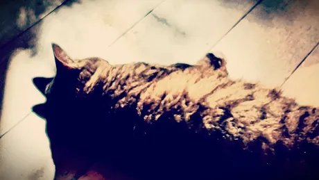 e_6aa3b9754ecc67e88f683e8337332ff2_img-hopop