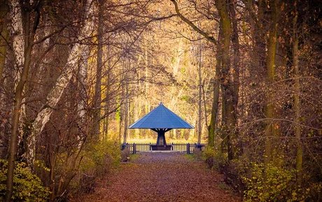 Mann mit Hut Touren - Der Volkspark Jungfernheide