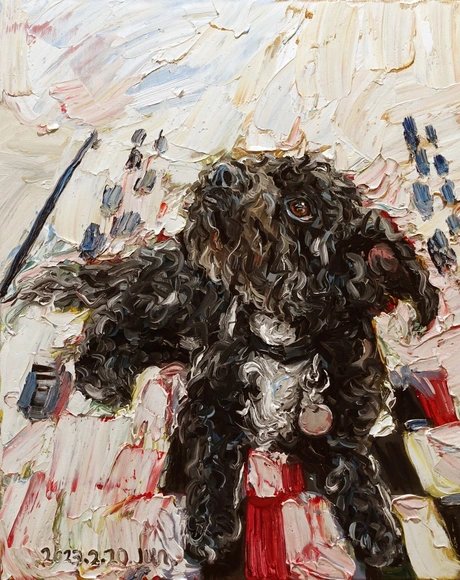 e_6c11b9e9733b0d507828aebb2205019d_img-hopop