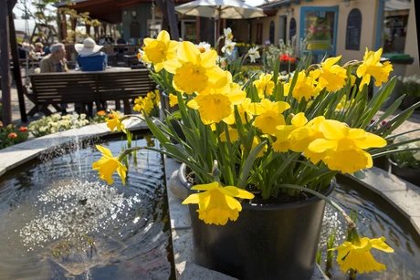 Kräutertage und Gartensaisonstart bei Späth