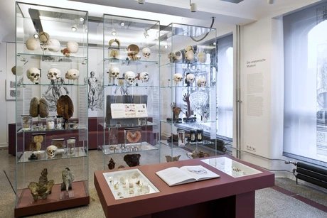 e_72d6b23e9824668611b9a74e94c67298_img-hopop