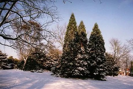 Humboldthain in Berlin