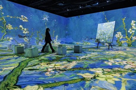 Vincent - Zwischen Wahn und Wunder