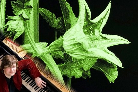 e_779d6880ce7ccfff910defe334f9f4d5_img-hopop