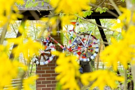 e_77fe3727e8a3b530ad1e3d74d5eea77b_img-hopop