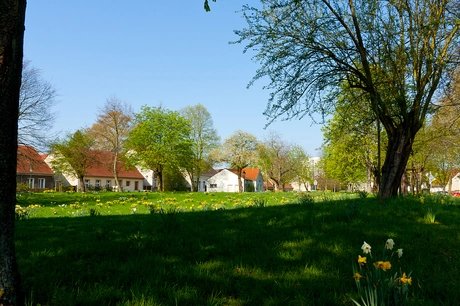 e_7b1c6afbe8ab9e6294e22b2316a6418e_img-hopop