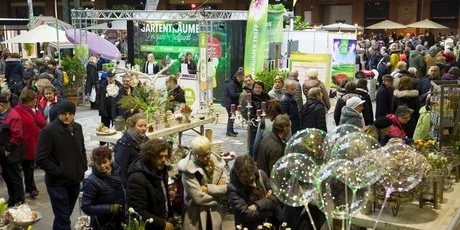 Gartenträume Berlin