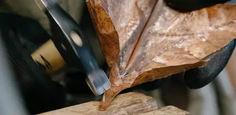 Fashion x Craft: Echoes of Tomorrow