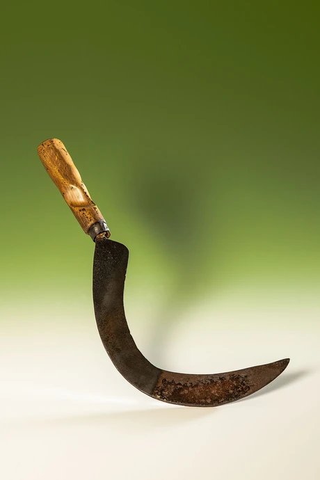 e_8070bc24916db3e10ced9c9f4a4d1c52_img-hopop