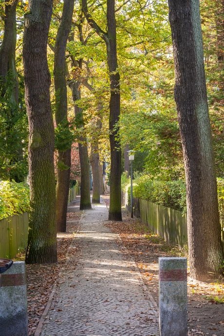 Mann mit Hut Touren - Wohnarchitektur Siemensstadt