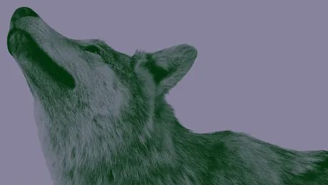 VISUAL „Natur und deutsche Geschichte”