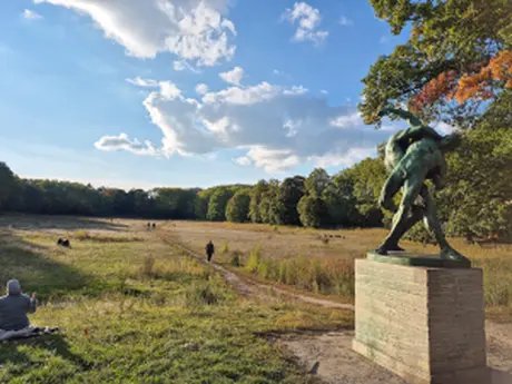 Der Volkspark Rehberge - Von der Ringer- zur Wildbienenwiese