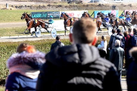 Rennbahn Berlin in Mariendorf