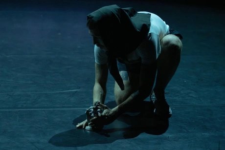 e_8c278fad4fde342077a71a5f7db4338a_img-hopop