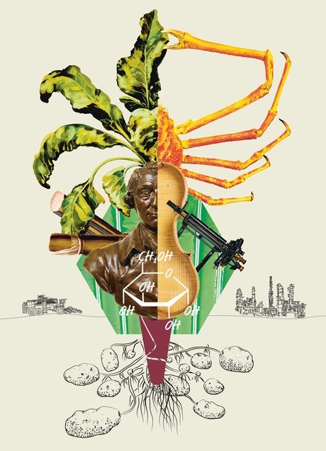 e_8c4c4174d881ba399a06e2e7b5e6e448_img-hopop