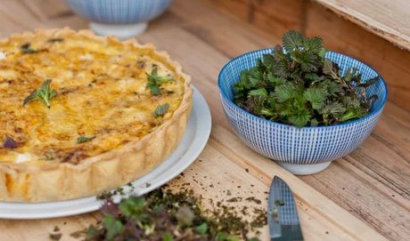 Wildkräuter-Kochkurs