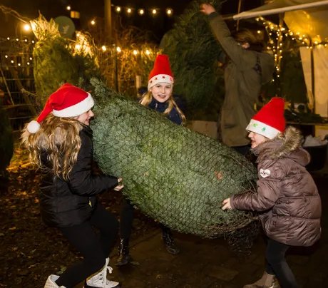 Advent in den Späth'schen Baumschulen
