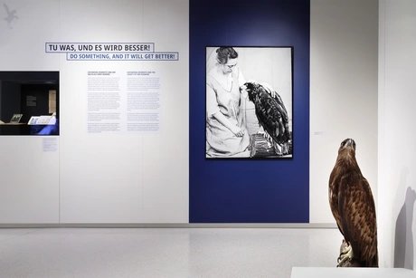 Blick in die Ausstellung „Die Heinroths, ihre 1000 Vögel und die Anfänge der Verhaltensforschung“ im Stabi Kulturwerk.
