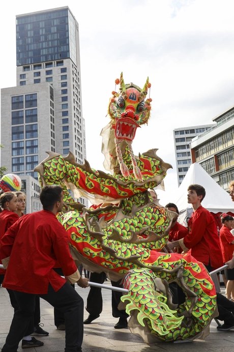 Summer in the City Drache