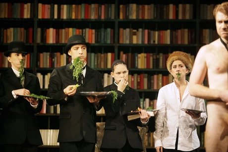 Ein Bericht für eine Akademie