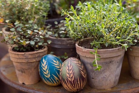 Kräutertage und Gartensaisonstart bei Späth