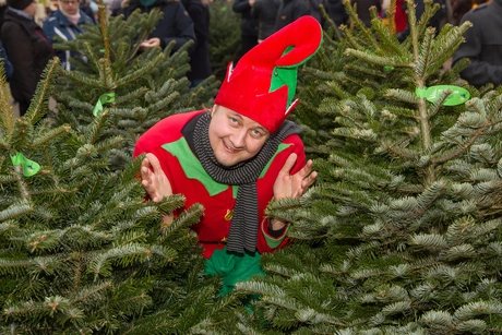 Advent in den Späth'schen Baumschulen