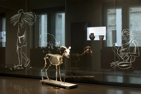 Saal 308, Präsentation aus dem Bereich der Jungsteinzeit