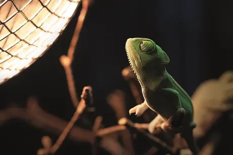 Taschenlampen-Abenteuer in der Biosphäre Potsdam