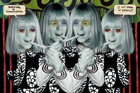 Roses Rising – The Dinner