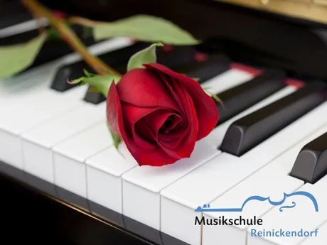 Rose auf einer Klaviertastatur